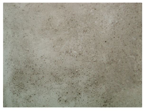 ISSE | Raising Industry Standards