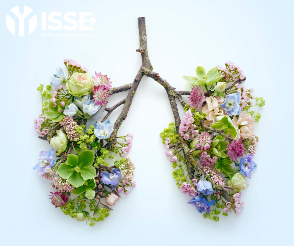 ISSE | Raising Industry Standards